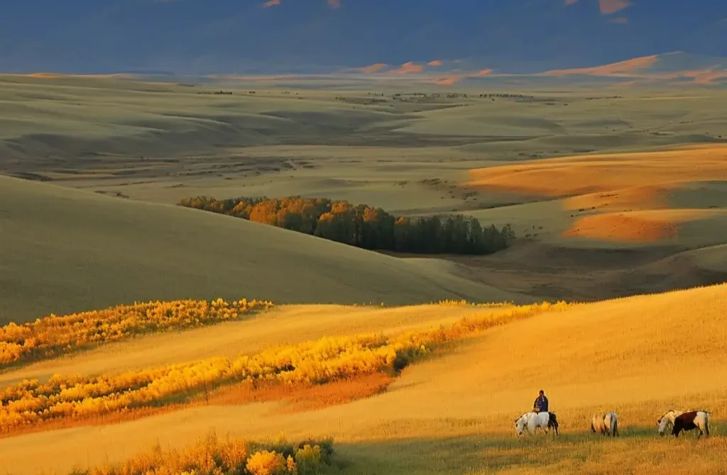 Why Now Is the Best Time to Visit Bali