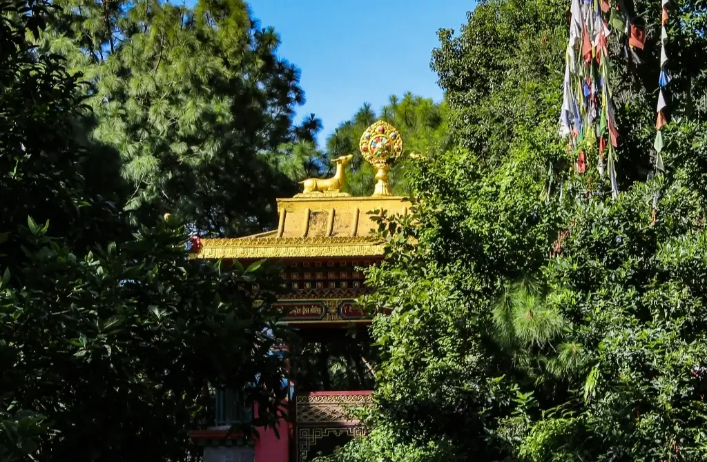 How to Plan the Perfect Vacation Without the Stress