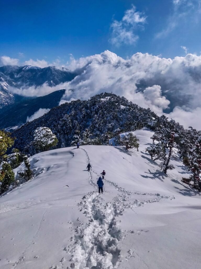 Shimla Manali Honeymoon Special